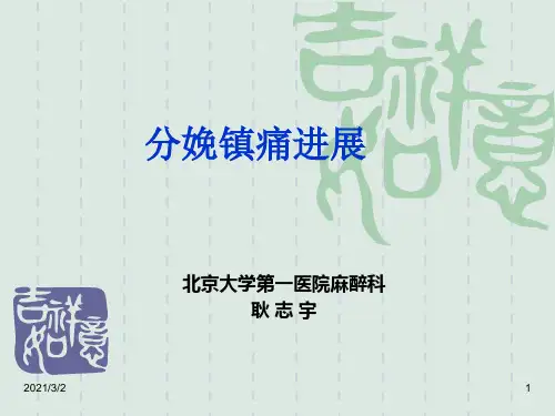 分娩镇痛进展-耿志宇[1]【PPT课件】