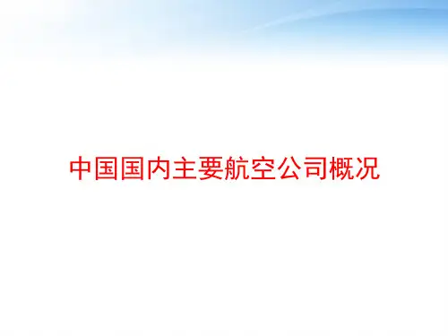 中国国内主要航空公司概况 ppt课件