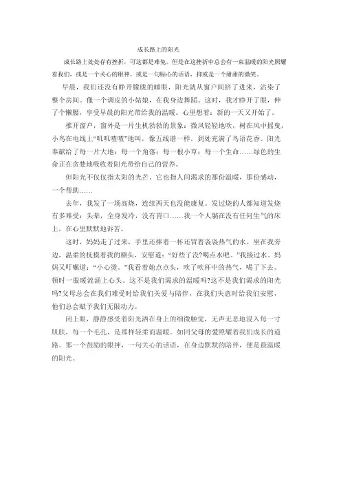 成长路上的阳光 3
