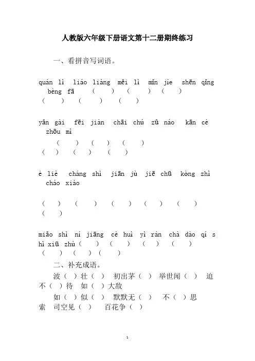 人教版六年级下册语文第十二册期终练习二