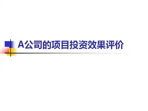 项目投资效果评价