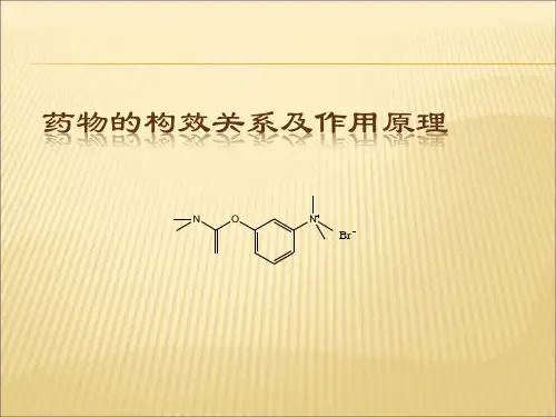 药物的构效关系及作用原理(简介)