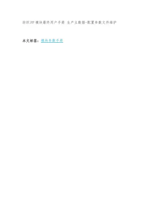SAP配置参数文件