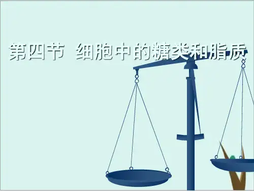 《糖类》PPT新教材2
