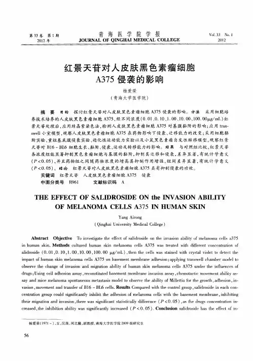 红景天苷对人皮肤黑色素瘤细胞A375侵袭的影响