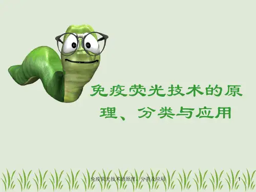 免疫荧光技术的原理、分类及应用ppt课件