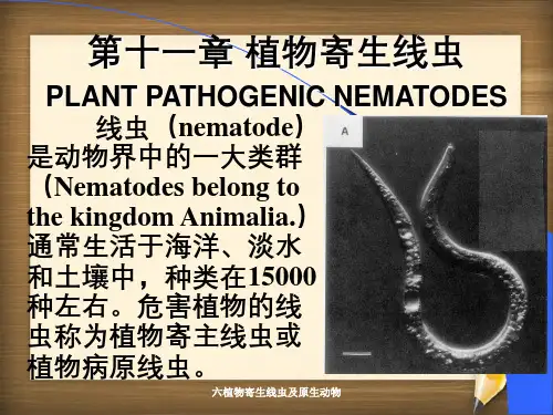 六植物寄生线虫及原生动物