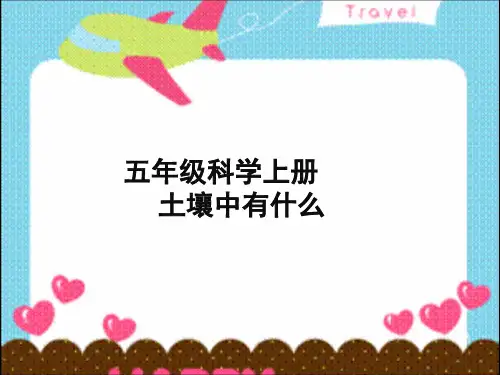 土壤中有什么?