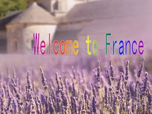 france_法国_英文_浪漫_romance_ppt