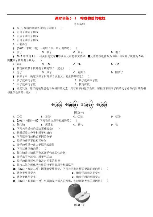 北京市2019年中考化学基础复习课时训练一构成物质的微粒练习20190114175
