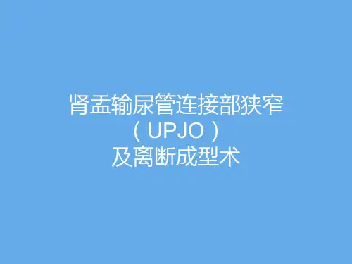 肾盂输尿管连接部狭窄(UPJO)及离断成型术