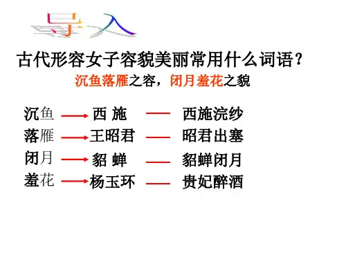 咏怀古迹