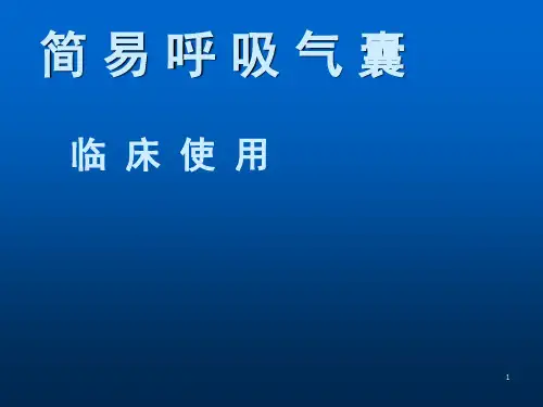 简易呼吸气囊ppt课件