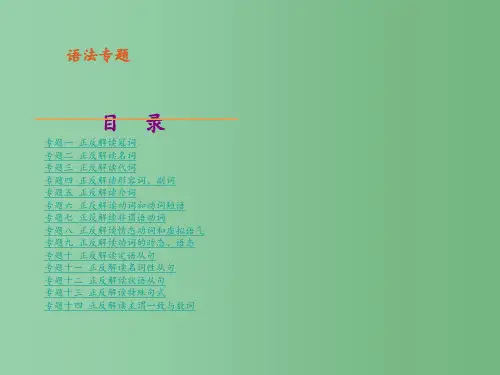 高考英语一轮复习 精品—语法专题