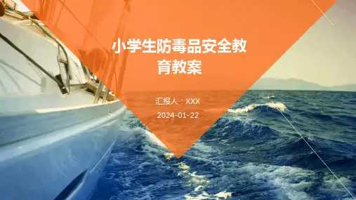 小学生防毒品安全教育教案