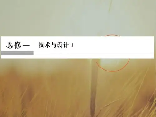 2019版创新高三一轮复习系列浙江专版通用技术课件：必修一 第一章走进技术世界 精品