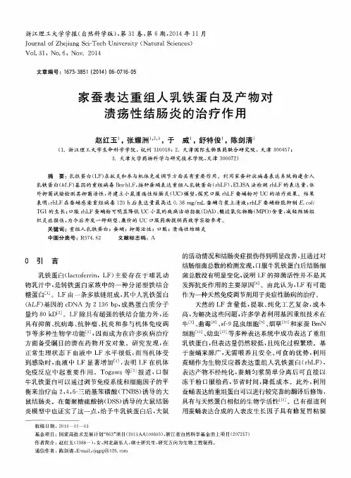 家蚕表达重组人乳铁蛋白及产物对溃疡性结肠炎的治疗作用