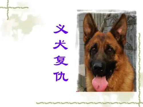 2015春五年级语文下册《义犬复仇》课件4 北京版