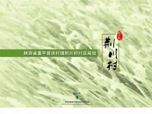 荆川村美丽乡村规划汇报稿_图文