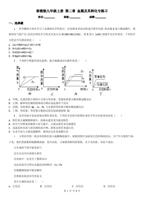 浙教版九年级科学上册第二章金属及其转化专练习