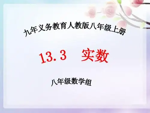 实数课件[1].1ppt