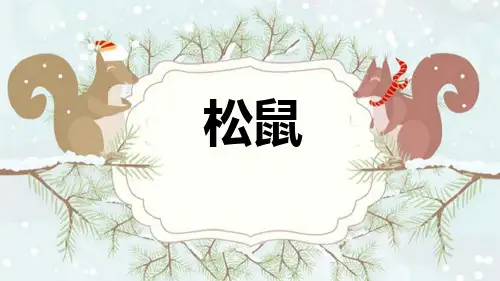 部编版五年级语文下册松鼠