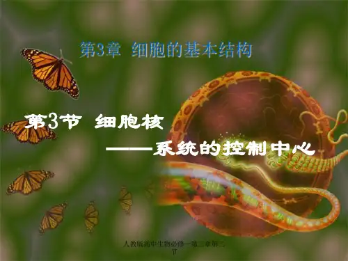 人教版高中生物必修一第三章第三节 ppt课件