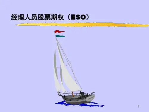 经理人员股票期权(ESO)