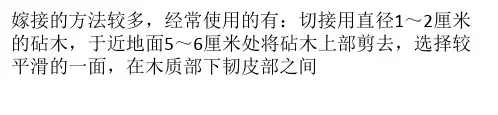 常用的嫁接方法有哪些?