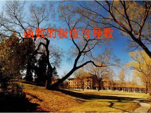 高中数学 函数的极值与导数精品课件