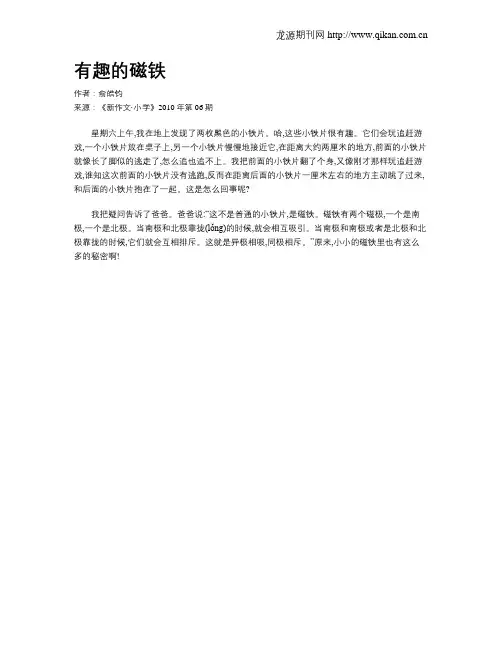 有趣的磁铁