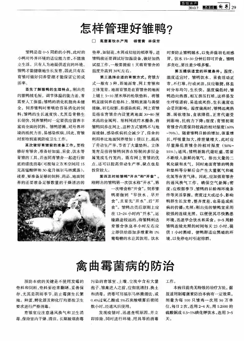 怎样管理好雏鸭？