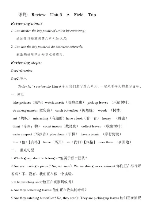 人教版小学英语五年级下册第六单元复习课教案