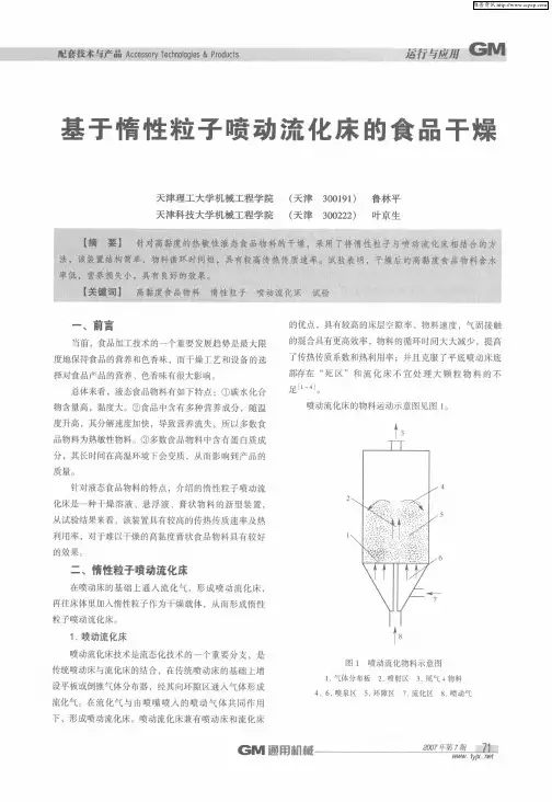 基于惰性粒子喷动流化床的食品干燥