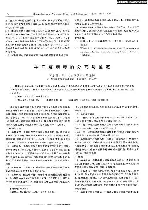 羊口疮病毒的分离与鉴定