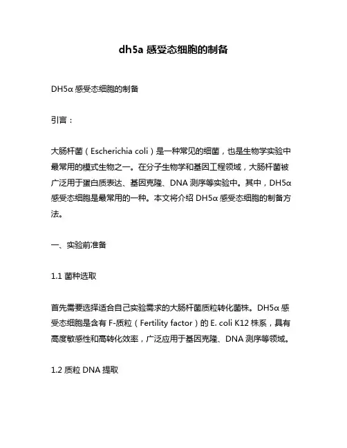 dh5a感受态细胞的制备 2
