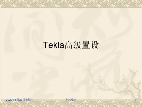 Tekla高级置设
