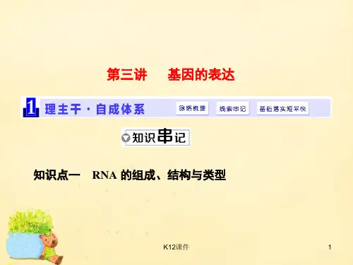 高三生物一轮复习 第二单元 基因的本质与表达 第三讲 基因的表达课件(必修2)
