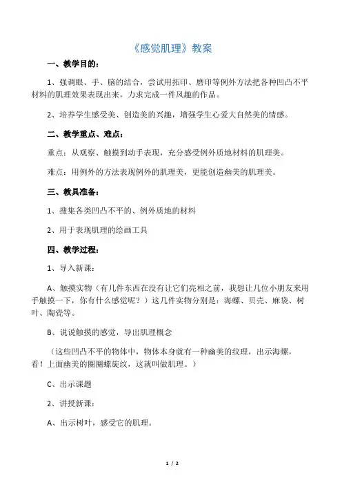 《感觉肌理》教案