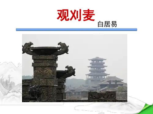 白居易 观刈麦ppt