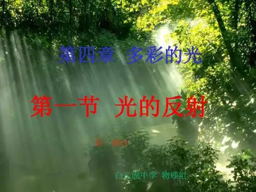 4.1光的反射(第一课时光的传播).PPT