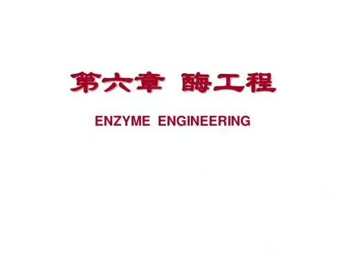 (6)第六章 酶工程
