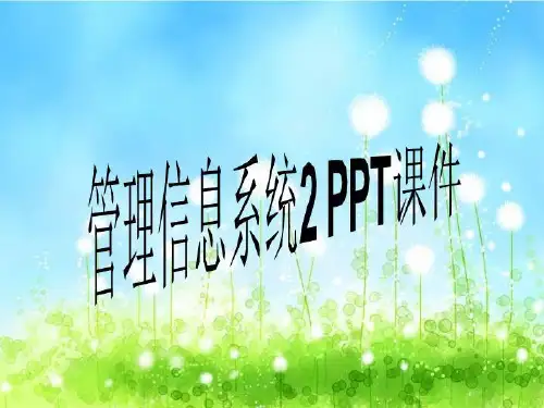 管理信息系统2 PPT课件