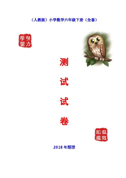 2018人教版小学数学六年级下册试卷(全套)