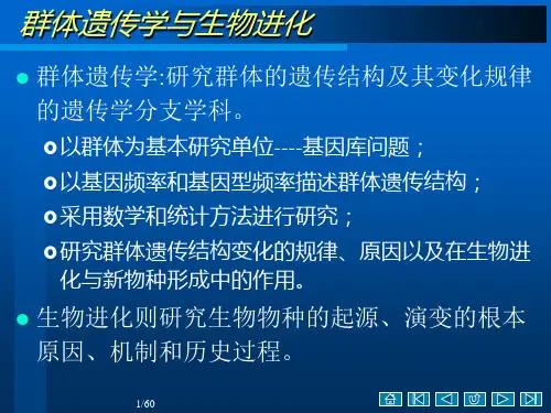 遗传学 第十章 群体遗传与进化