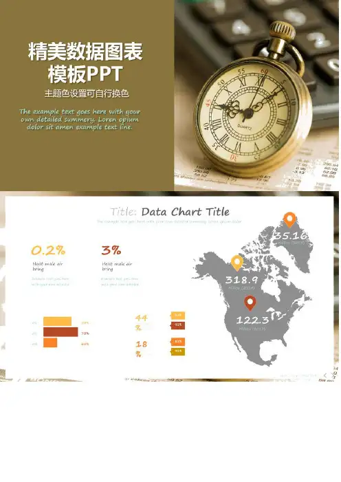 精美地图数据图表ppt