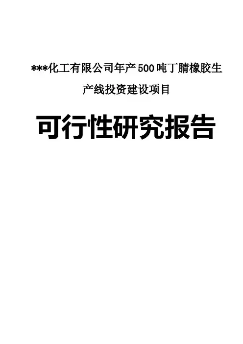 某化工有限公司年产500吨丁腈橡胶生产线投资建设项目可行性研究报告