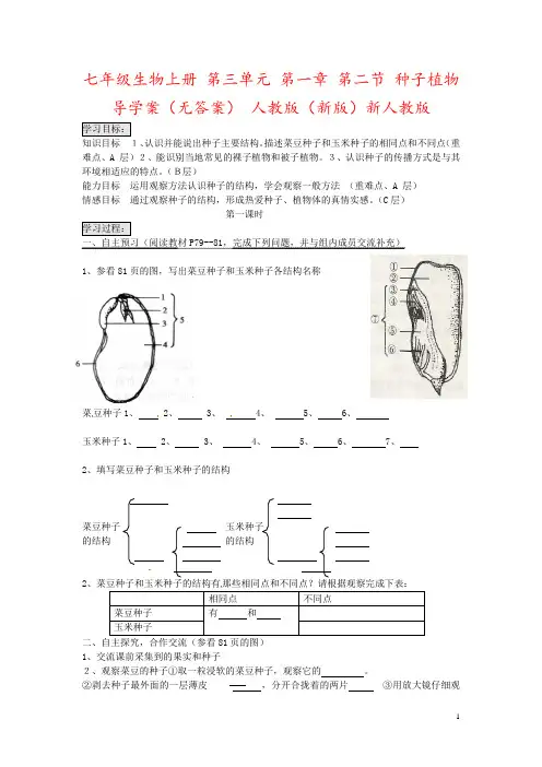 七年级生物上册 第三单元 第一章 第二节 种子植物导学案(无答案) 人教版(新版)新人教版