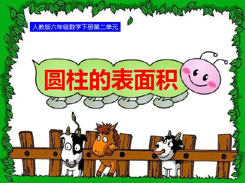 2016-2017年人教最新审定版小学六年级数学下册第二单元第二课时_圆柱的表面积精品ppt课件 - 副本