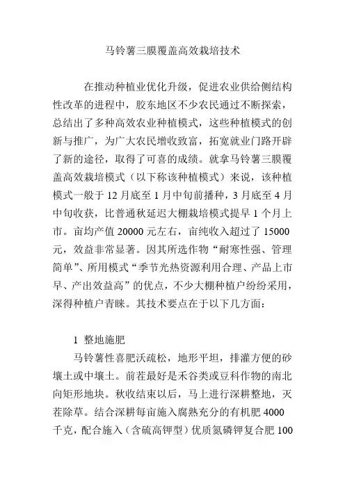 马铃薯三膜覆盖高效栽培技术